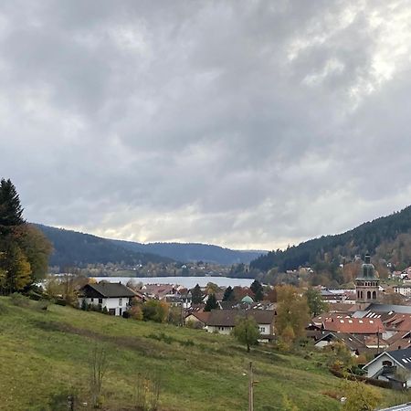 Entre Lac Et Pistes De Ski Gérardmer Exterior foto